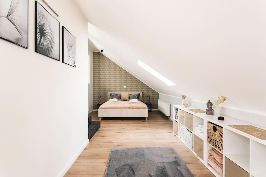Tip! Toplage In Dresden! Moderne 100 Qm Ferienwohnung Fuer Familien Und Kleine Gruppen Экстерьер фото