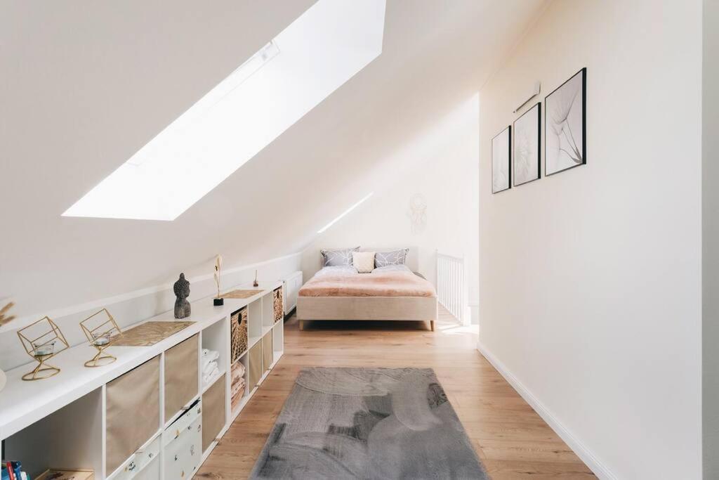 Tip! Toplage In Dresden! Moderne 100 Qm Ferienwohnung Fuer Familien Und Kleine Gruppen Экстерьер фото